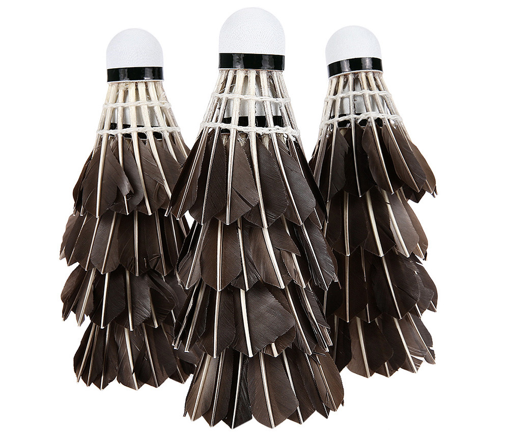 12-Pcslot-Hot-Portable-Black-Duck-Feather-Badminton-Balls-Shuttlecock-Shuttlecocks-Outdoor-Sports-ba-32659653793