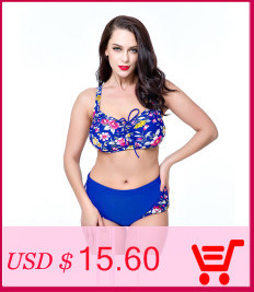 2017-Plus-Size-Bikini-Set-Brazilian-Bathing-Suit-Push-Up-Large-Cup-Women-Swimwear-Sexy-High-Waist-Bi-32688851068