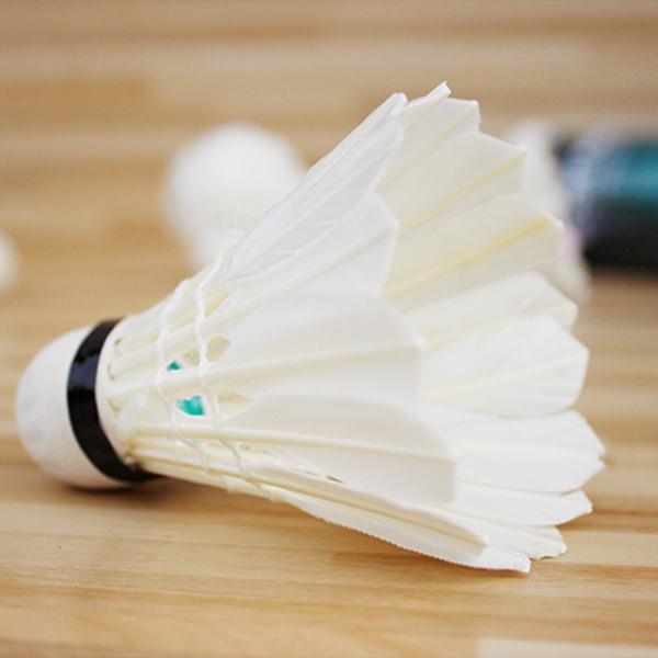 4Pcs-Plastic-Professional-Badminton-Balls-Portable-White-Goose-Feather-Training-Badminton-Ball-Shutt-32791234532