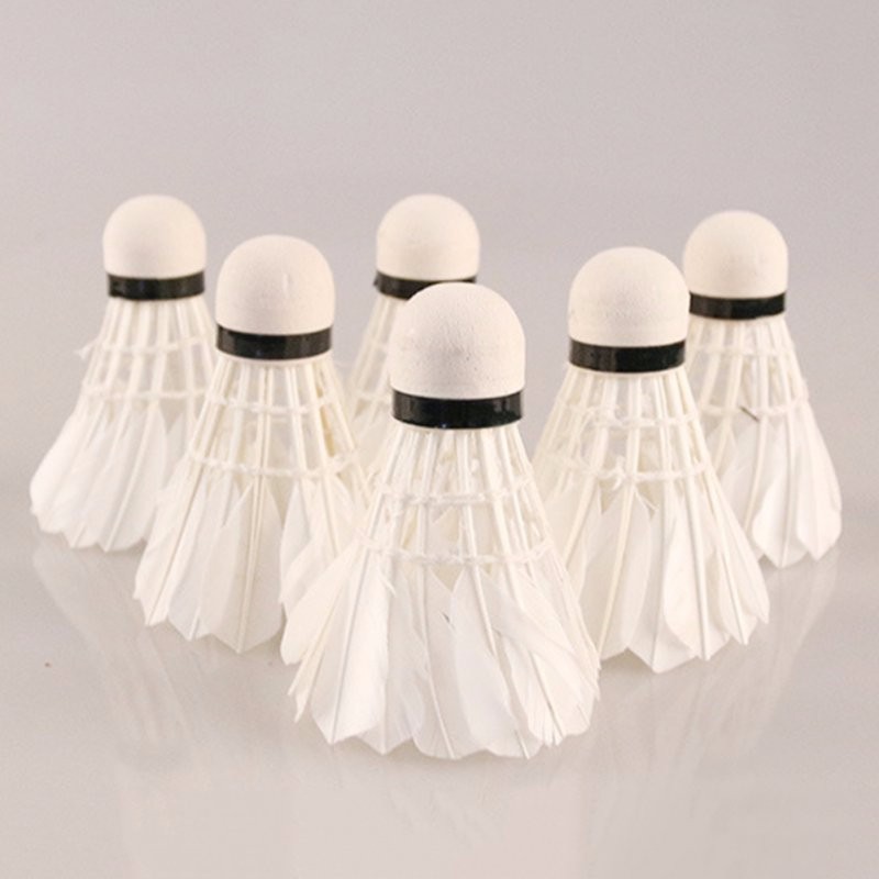 6-Pcs-Portable-White-Birdies-Feather-Training-Badminton-Balls-Shuttlecocks-Sport-Products-32703430735