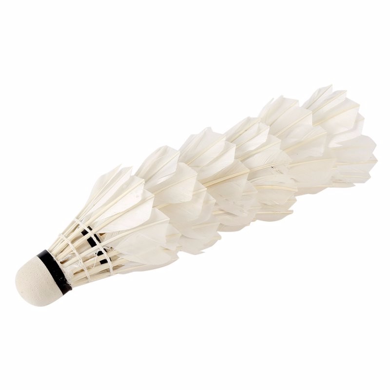 6-Pcs-Portable-White-Birdies-Feather-Training-Badminton-Balls-Shuttlecocks-Sport-Products-32703430735