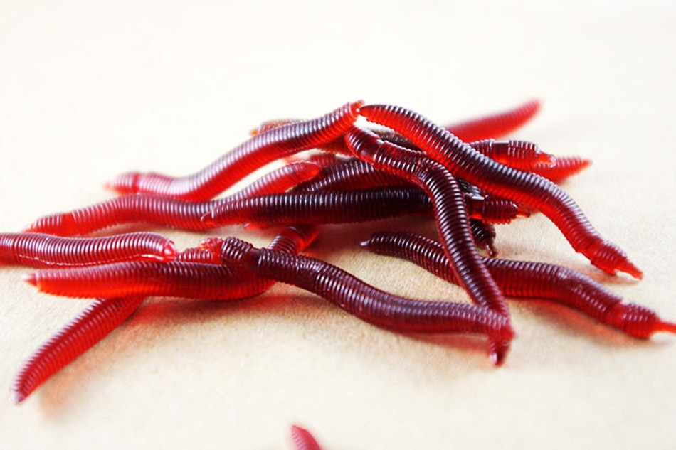 Anmuka-100pcs-4cm-019g-Soft-Lure-Red-Worms-EarthWorm-Fishing-Baits-Worms-Trout-Fishing-Lures-fishing-1600811124