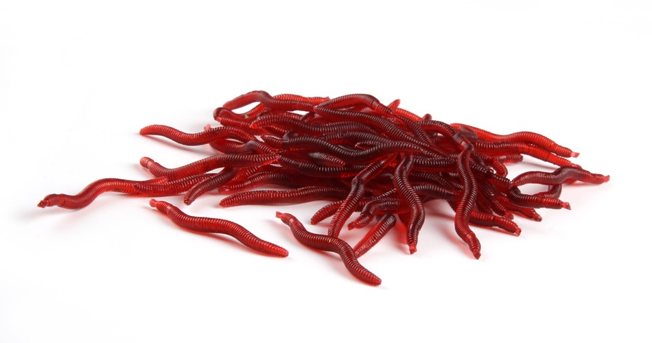 Anmuka-100pcs-4cm-019g-Soft-Lure-Red-Worms-EarthWorm-Fishing-Baits-Worms-Trout-Fishing-Lures-fishing-1600811124