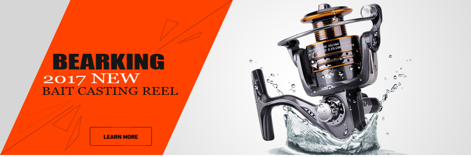 BEARKING-Hot-Model5pcslot--fishing-lures-professional-fishing-tackle-assorted-color-penceil-bait-110-32226057823