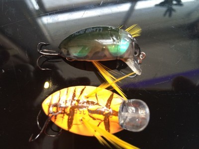 Beetit-Crankbait-4g-35cm-Insect-Fishing-Lure-Top-Water-Crank-Carp-Bait-32612185183