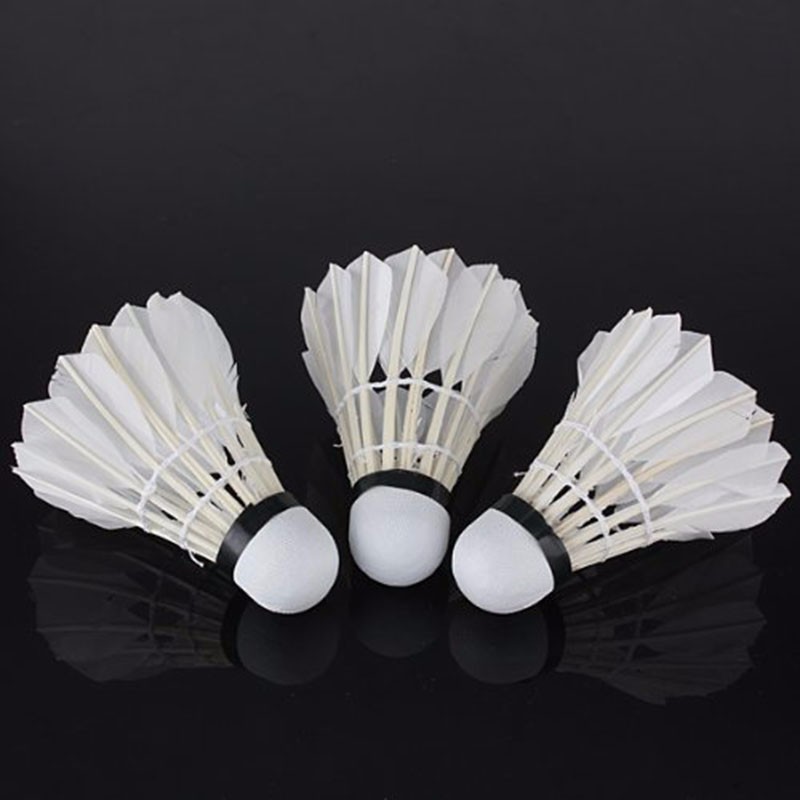 Bingirl-12-PcsLot-Professional-training-volant-badminton-plume-d39oie-lenwave-shuttlecock-goose-feat-32753271305