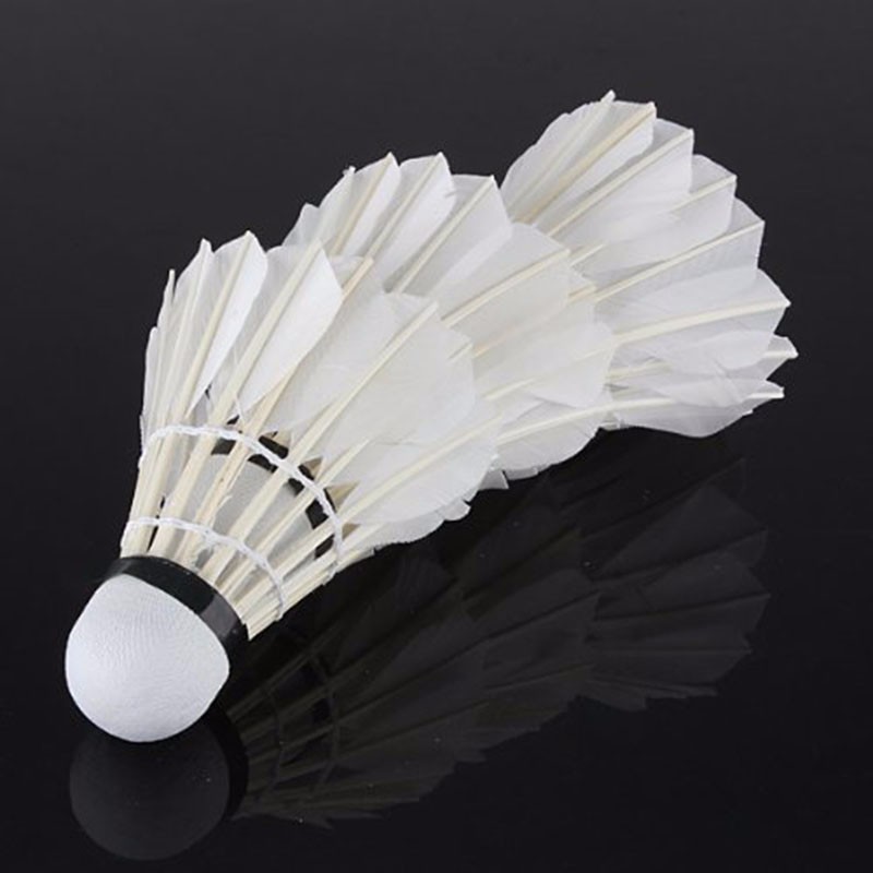 Bingirl-12-PcsLot-Professional-training-volant-badminton-plume-d39oie-lenwave-shuttlecock-goose-feat-32753271305