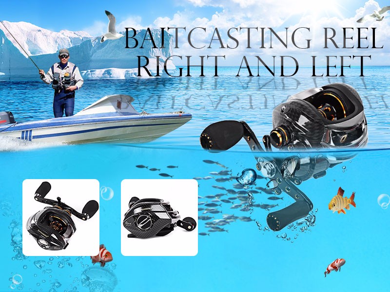 DSstyles-Fishing-reel-BX1000---9000-Series-121BB-Stainless-steel-Aluminum-Spool-Superior-Ratio-551-F-32797847890