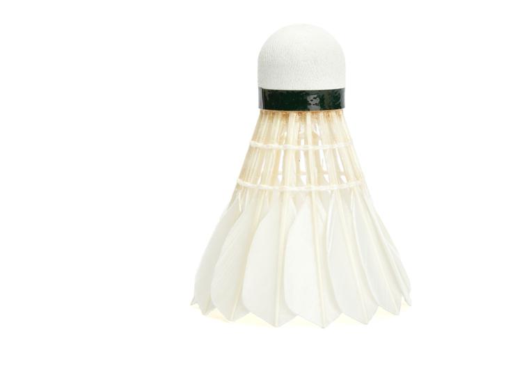 Hot-Sale-Original-Li-Ning-A90-Badminton-Shuttlecock-For-International-Competition-Top-Level-Goose-Fe-32741375972