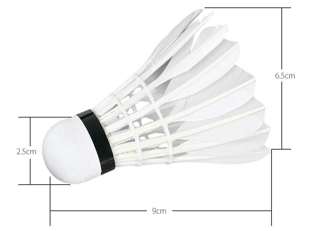 LYDOO-12pcs-Goose-Shuttlecock-Feather--White-Training-Badminton-Balls-Shuttlecocks-Portable-Sport-wi-32731527348