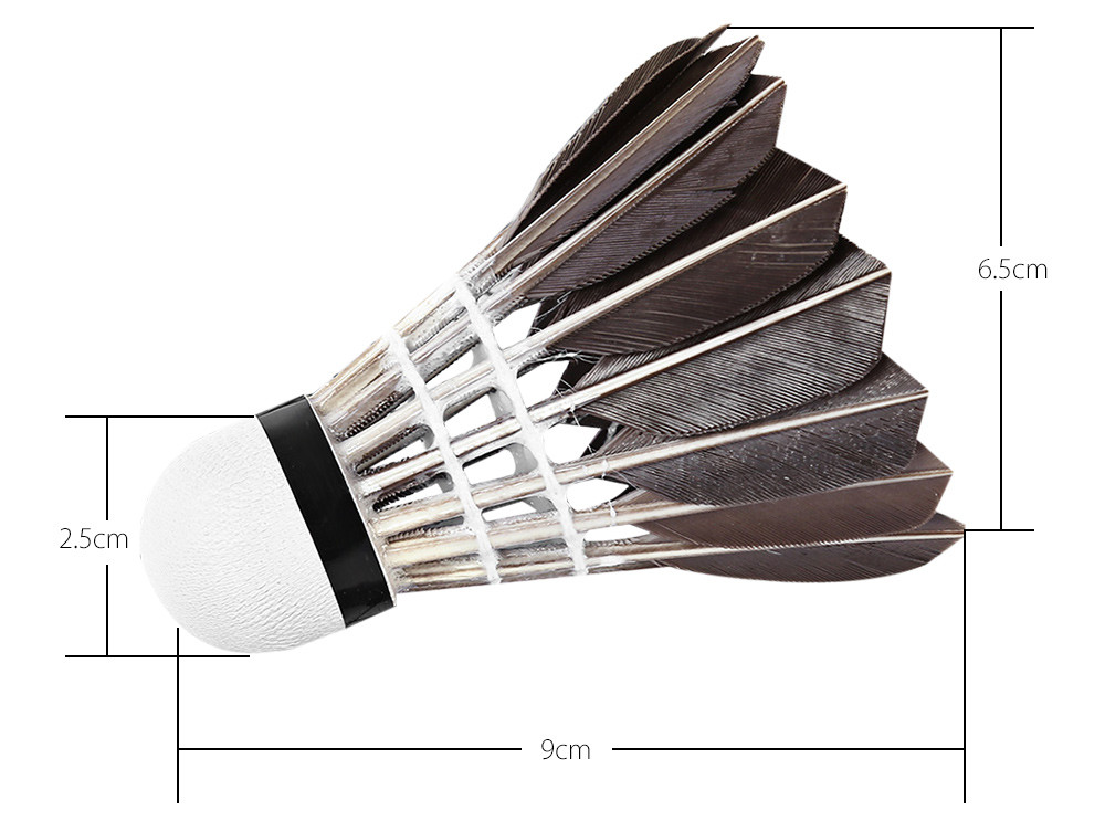 LYDOO-12pcslot-Portable-Black-Goose-Feather-Badminton-Balls-Shuttlecock-Shuttlecocks-Outdoor-Sports--32689620622