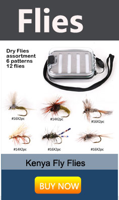 Maximumcatch-12Pcs-Dry-Flies-Fly-Fishing-Flies-Set-With-a-Box-Trout-Fly-Flies-32385601988