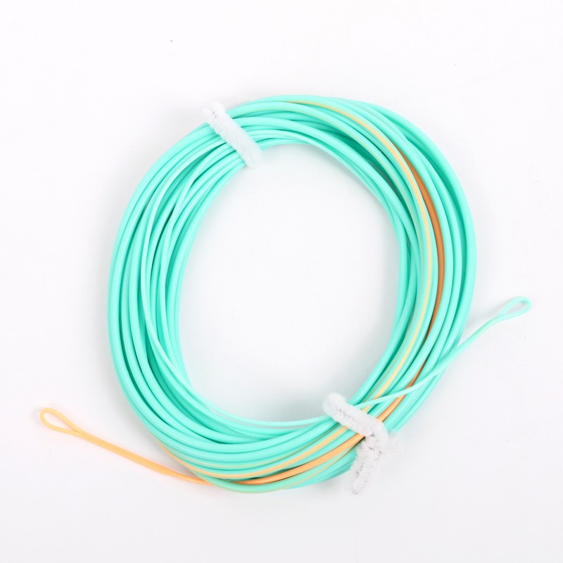 Maximumcatch-Shooting-Head-Fly-Line-With-2-Welded-Loops-20-25FT-300-650gr-Double-Color-Floating-Fly--32370094633