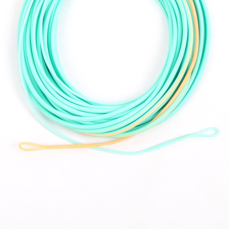 Maximumcatch-Shooting-Head-Fly-Line-With-2-Welded-Loops-20-25FT-300-650gr-Double-Color-Floating-Fly--32370094633