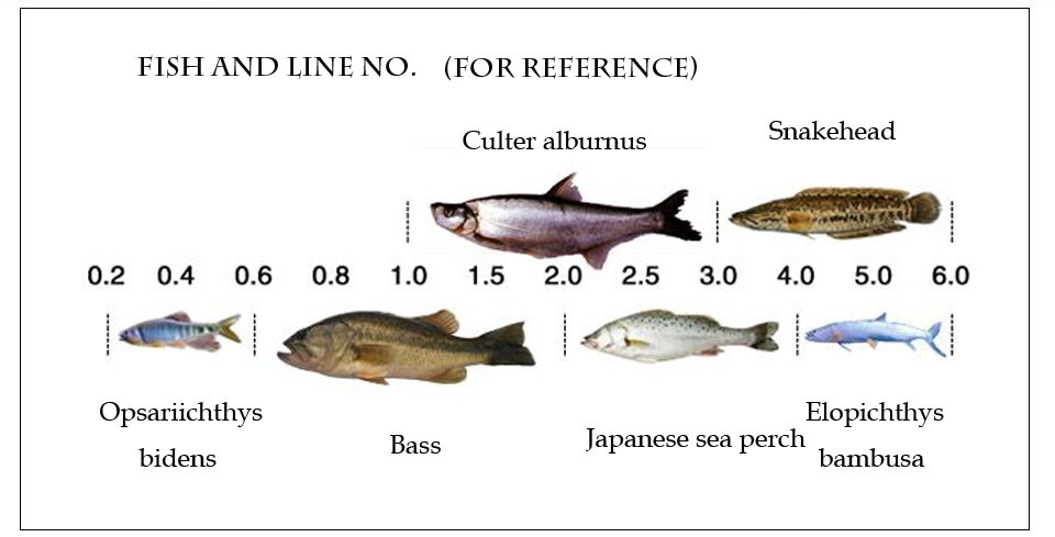 SEA-SHARK-100M-300M-500-M-fishing-line-9-80LB-Super-Strong-Japan-Multifilament--PE-tippet-and--mainl-32316968654